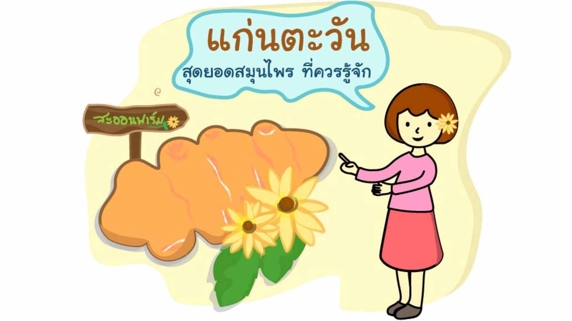 แก่นตะวัน สุดยอดสมุนไพร ที่ควรรู้จัก